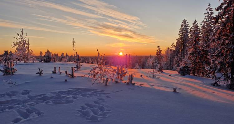 Winter wonders for families - Upitrek 9