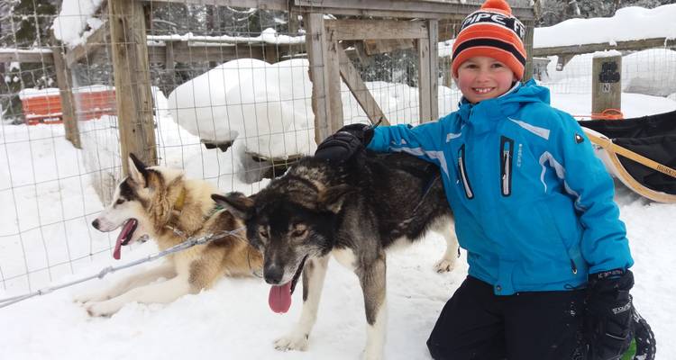 Enfant vêtu d'équipement d'hiver posant avec des chiens de traîneau dans un environnement enneigé.