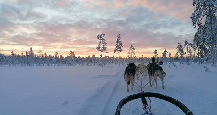 Promenade en traîneau à chiens à travers un paysage forestier enneigé pendant un magnifique coucher de soleil.