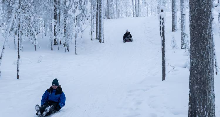 Dos personas se deslizan por una pendiente nevada a través de un tranquilo bosque boreal, disfrutando de la diversión invernal del trineo.