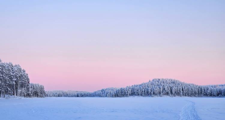 Lago helado sereno y pinos cubiertos de nieve bajo un cielo de amanecer rosa pastel y azul en Laponia.