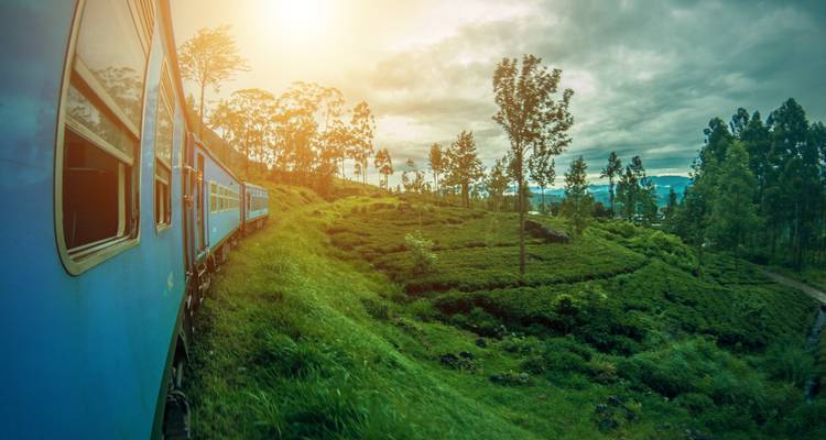 Itinéraire de 15 jours au Sri Lanka - Holiday Lanka Tours 6