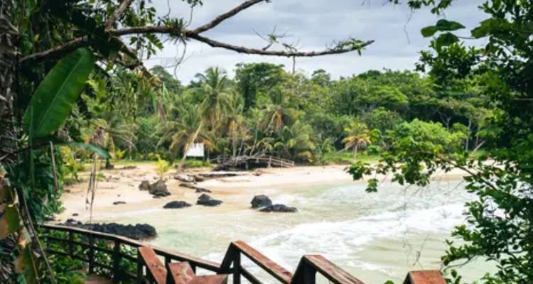 Panama and Bocas del Toro: From the Canal to Caribbean Islands - BM Tours 1