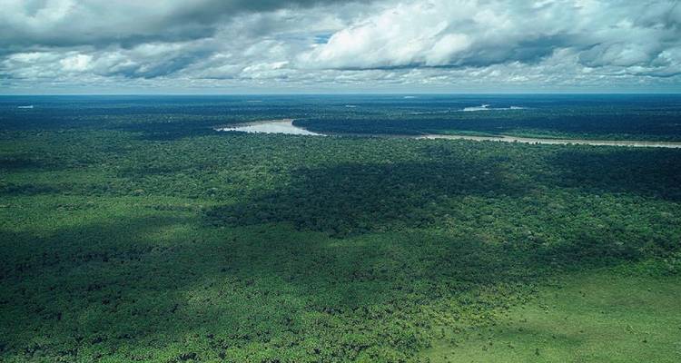 Aventura de 4 días en la selva de Tambopata - Tangol Tours 6