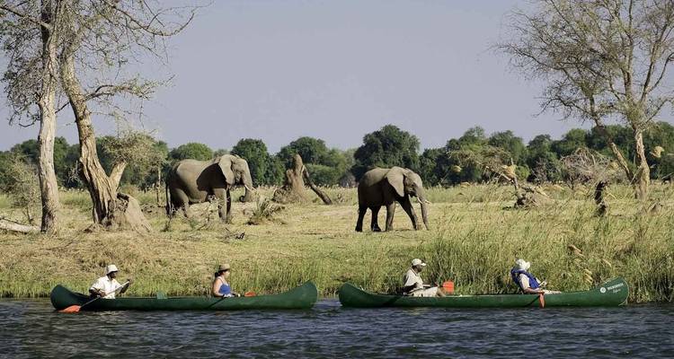 10 jours à South Luangwa, Mana Pools et Victoria Falls - Falcon Safaris 1