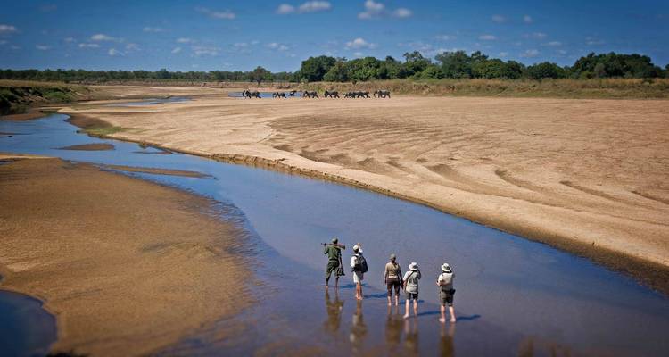10 jours à South Luangwa, Mana Pools et Victoria Falls - Falcon Safaris 4
