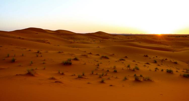 Circuit de 2 jours de Marrakech au désert de Zagora via l'Atlas et la vallée du Draa : Glamping à Erg Lihoudi - Circuit privé - Explore Morocco Travel 7
