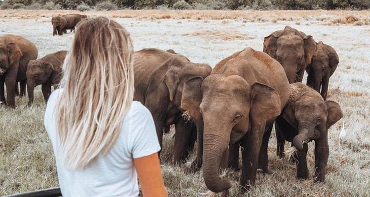 Viaje de Semilujo por Sri Lanka - BH Lanka Tours  10