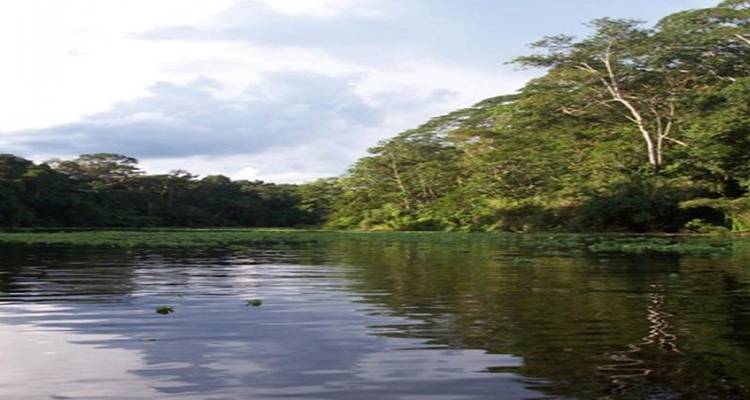 3-Day Lodge in the Jungle of Pacaya Samiria - Tangol Tours 10