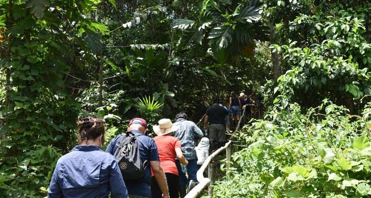 3-Day Lodge in the Jungle of Pacaya Samiria - Tangol Tours 9