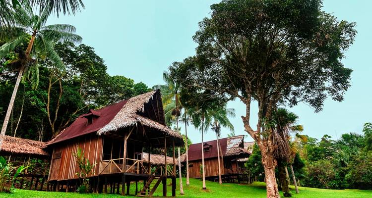Cabañas de madera en un entorno tropical y exuberante.