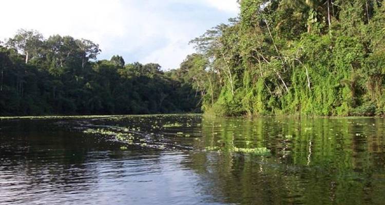 Circuito de 4 días a Pacaya Samiria, alojamiento en el Amazonas - Tangol Tours 8