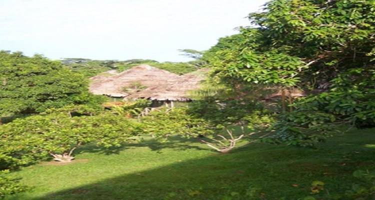 Circuito de 4 días a Pacaya Samiria, alojamiento en el Amazonas - Tangol Tours 10
