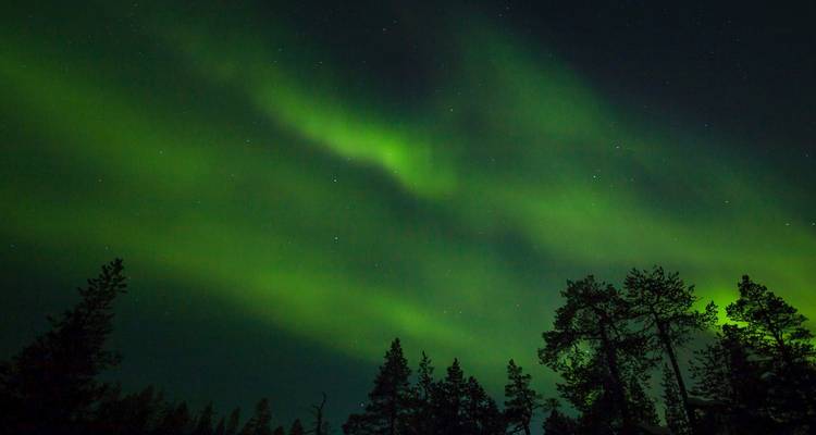 Aurores boréales dans le ciel nocturne au-dessus d'une forêt.
