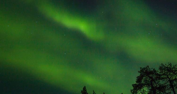 Des traînées d'aurore boréale verte s'étendent à travers un ciel nocturne arctique étoilé au-dessus des arbres en silhouette.