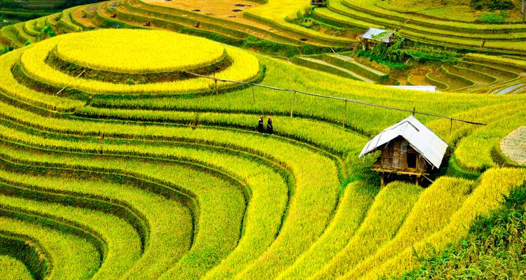 Privé - Colors Of The North Vietnam 8 Days Tour - Luco Travel & Trade  4