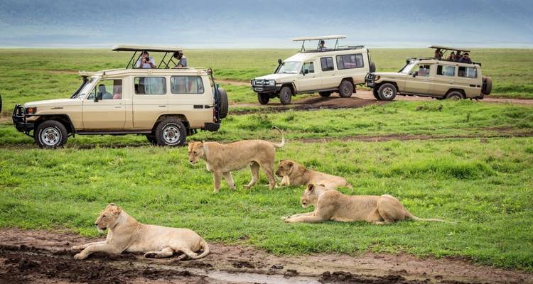 Safari Kifaru, Lodges Serena - viaje privado - Prime Safaris 6