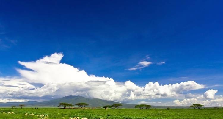 Safari Kifaru, Lodges Serena - viaje privado - Prime Safaris 2