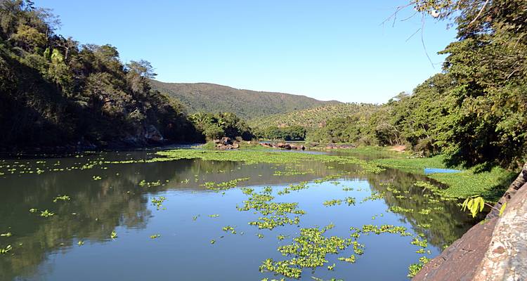 Esteros del Ibera - reserva natural del Ibera - circuito de 3 noches - RipioTurismo 1