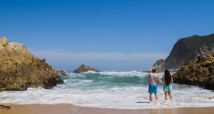 Ciudad del Cabo - Winelands - ruta Jardín - Parque Nacional de Addo: excursión de 6 días - Explore South Africa 8