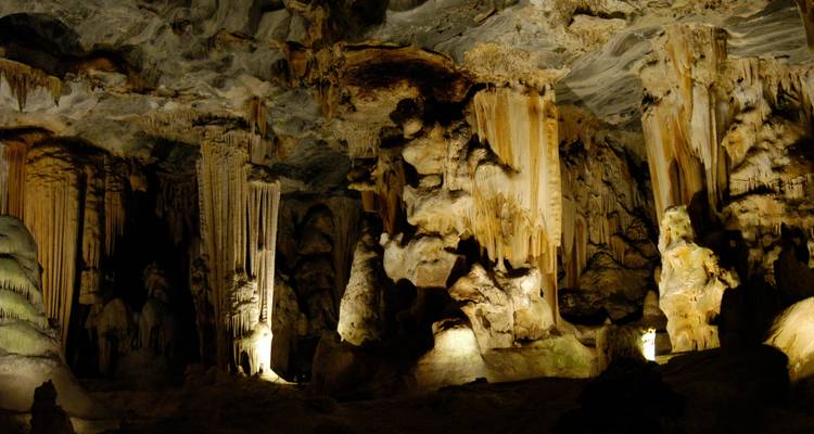 Ciudad del Cabo - Winelands - ruta Jardín - Parque Nacional de Addo: excursión de 6 días - Explore South Africa 4