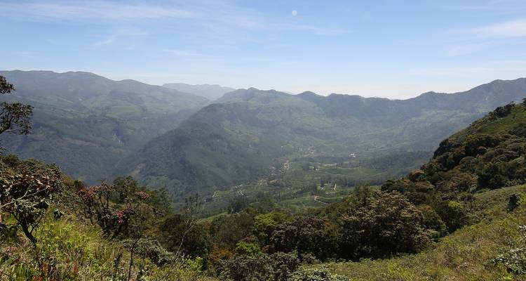 Expedición por haciendas de té, plantaciones de especias y remansos de Kerala - Agora Voyages OPC Pvt Ltd 7