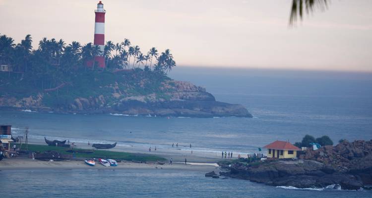Expedición por haciendas de té, plantaciones de especias y remansos de Kerala - Agora Voyages OPC Pvt Ltd 9
