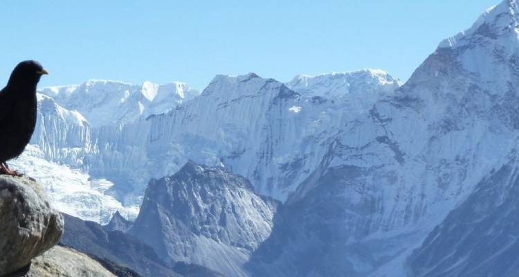 ThameSenderismo en Nepal 7 días 6 noches - Mega Mount Treks and Expedition Pvt.Ltd.  1