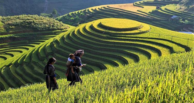 Essential Vietnam & Cambodia - 13 Days - LVP Travel 2