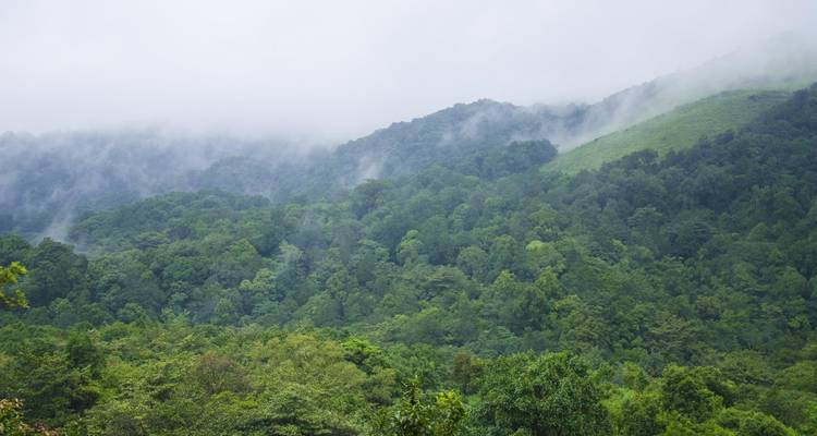 North Kerala Beach & Hill (Calicut, Wayanad & Kannur) - Agora Voyages OPC Pvt Ltd 6