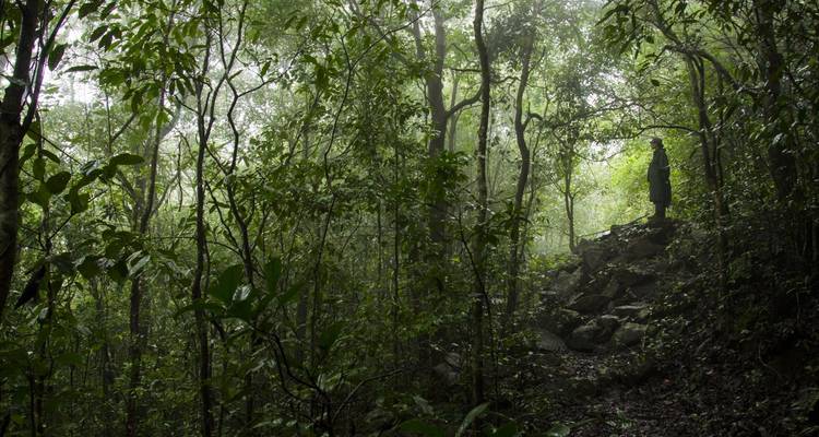 North Kerala Beach & Hill (Calicut, Wayanad & Kannur) - Agora Voyages OPC Pvt Ltd 7