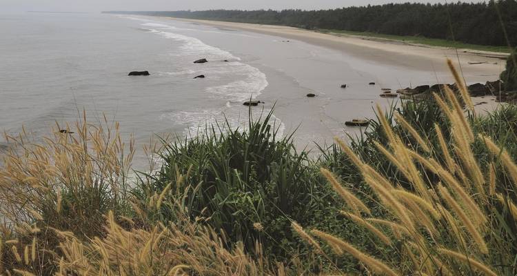 North Kerala Beach & Hill (Calicut, Wayanad & Kannur) - Agora Voyages OPC Pvt Ltd 8