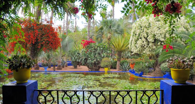 Totally Morocco Tour from Marrakech - Discover Morocco  8
