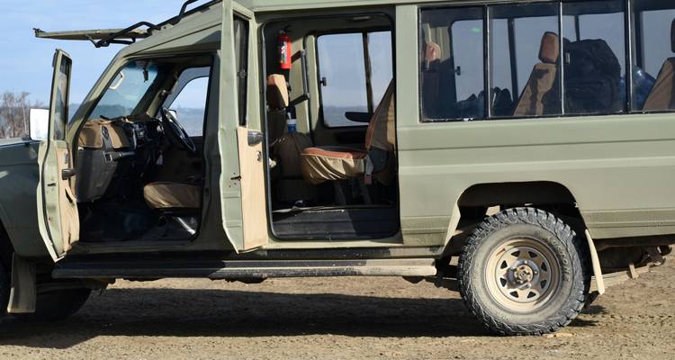 14 Days Kenya & Tanzania Photographic Safari With Ali - Exciting Africa Holidays 7