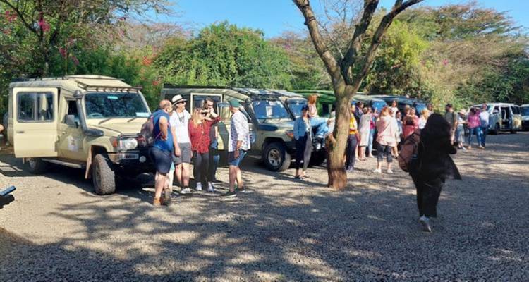 Groep verzameld rond safari voertuigen in een park omgeving.
