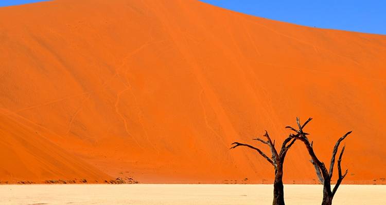 Clásico supremo de 10 días en Namibia - Falcon Safaris 2