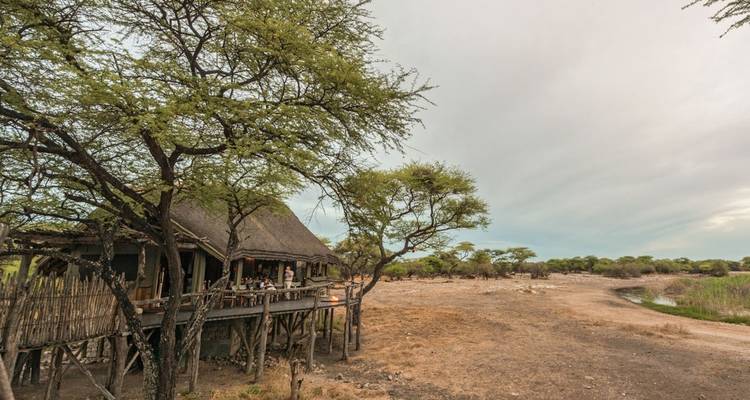 Clásico supremo de 10 días en Namibia - Falcon Safaris 3