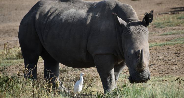 Safari en grupo de 12 días por el Circuito Lo Mejor de Kenia y Tanzania - Pam Tours and Travel  4