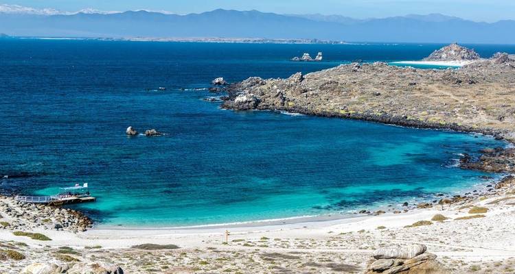 5 días de exploración valle del Elqui y reserva Nacional pingüinos de Humboldt - Signature DMC 3