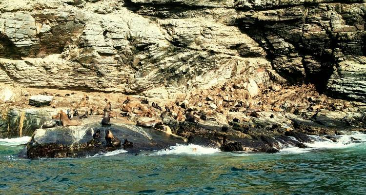 5 días de exploración valle del Elqui y reserva Nacional pingüinos de Humboldt - Signature DMC 2