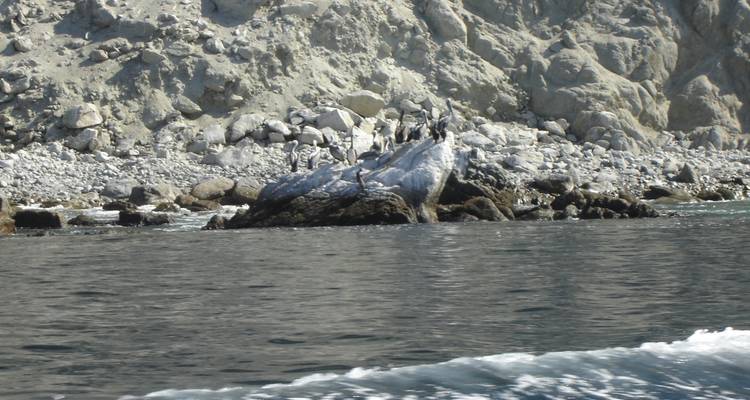 5 días de exploración valle del Elqui y reserva Nacional pingüinos de Humboldt - Signature DMC 6