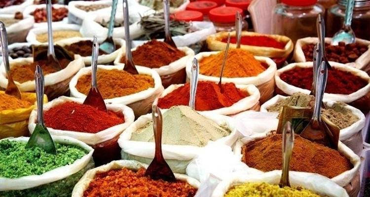 Viaje cultural y de bienestar único de 9 días por la ciudad romántica de Udaipur, Kumbhalgarh, Ranakpur y la estación de montaña de Abu - IHCT Heritage & Adventure  Tours 1