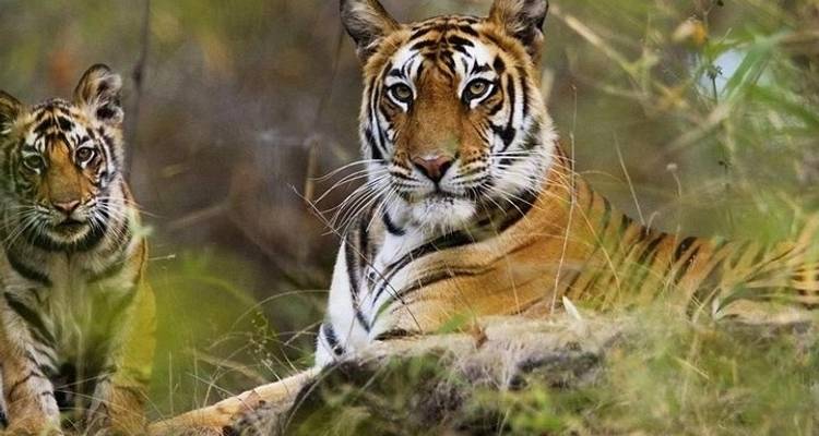 Circuit de 10 jours au Taj Mahal et à Khajuraho couvrant Agra, Gwalior, Datia et Orchha : un incroyable séjour en Inde centrale - IHCT Heritage & Adventure  Tours 2
