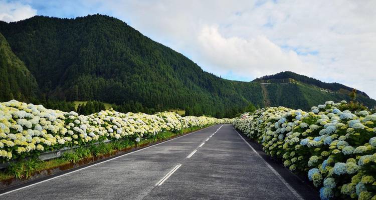 Lo mejor de las Azores: 7 días en São Miguel - Portugal Travel Center 4