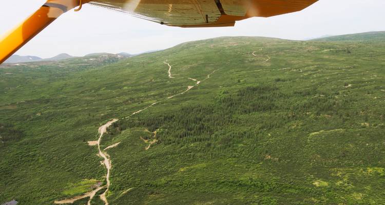 Arktisches Leben: Aktive Sommer-Erlebnisreise - Arctic Range Adventure 3