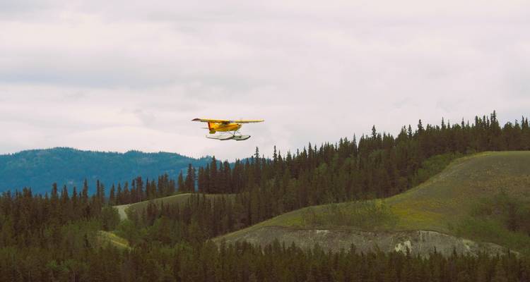 Un hydravion jaune volant au-dessus d'un paysage forestier.