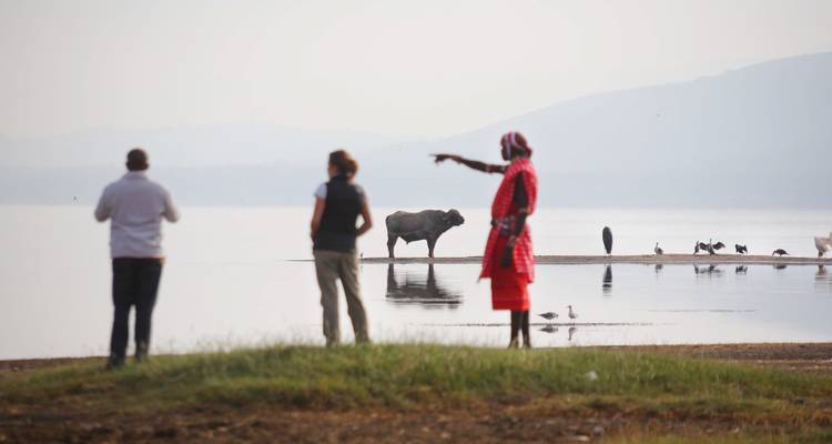 Des personnes observent la faune près d'un lac, un éléphant au loin.