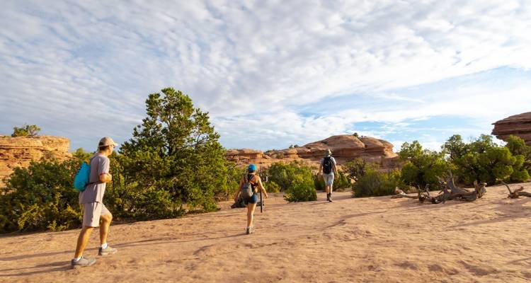Lo mejor del oeste circuito de 11 días por los parques nacionales en campamento de Las Vegas a San Francisco - Bindlestiff Tours 10