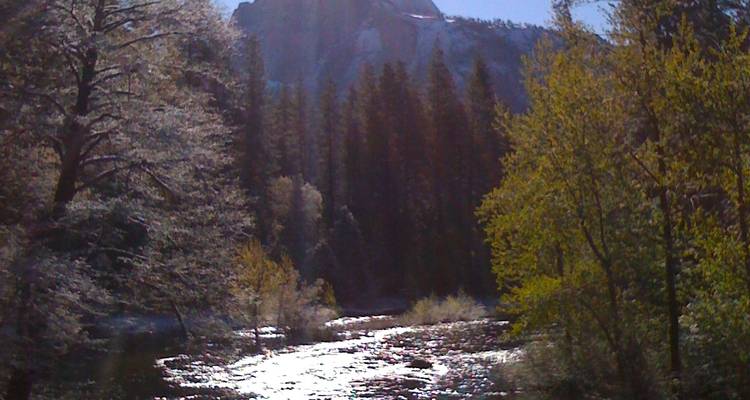 4 días valle de la Muerte, Yosemite, San Francisco desde Las Vegas alojamiento - Bindlestiff Tours 2