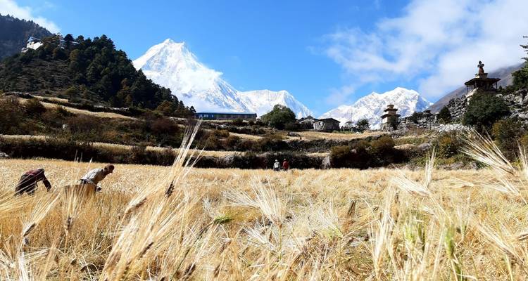 Circuit du Manaslu - Ace the Himalaya 10